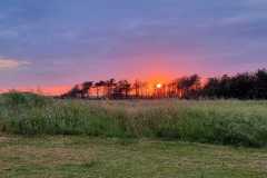 20240520_213149-2024