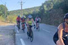 ee49462e-4cde-443a-807e-6885d3bd33e5